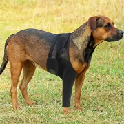 Бандаж для собаки на передні або задні лапи